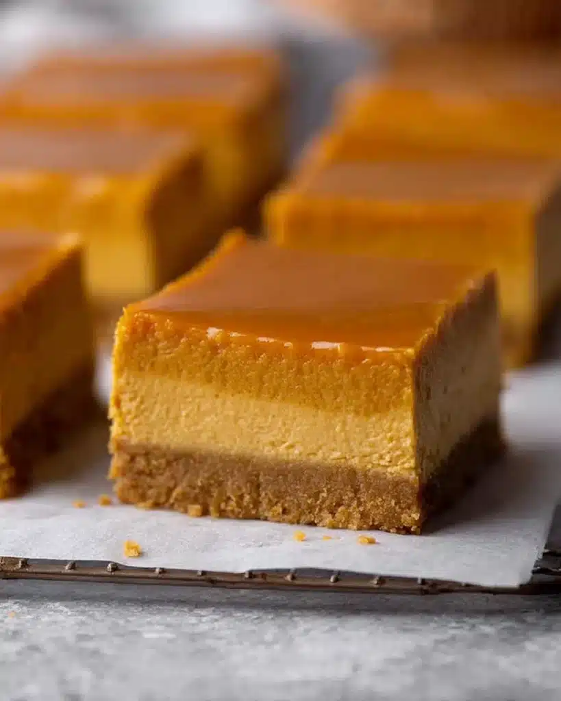 Pumpkin cheesecake bar close-up with graham crust