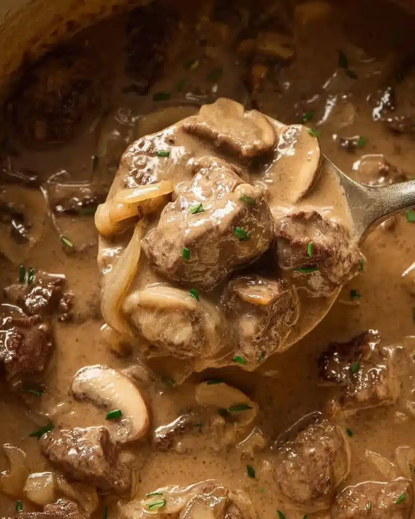 Slow Cooker Beef Stroganoff Stew 5 Ladle of slow cooker beef stroganoff stew with creamy sauce and mushrooms