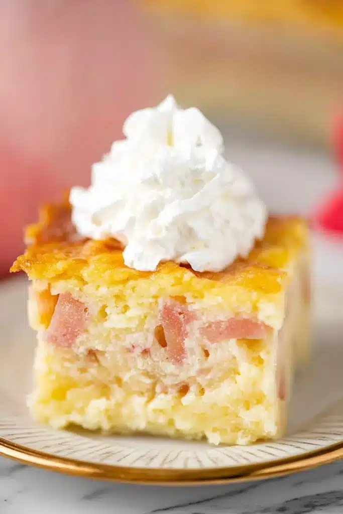 Easy Rhubarb Custard Cake Recipe That’s Creamy and Irresistible 1 easy rhubarb custard cake slice with whipped cream and creamy layers