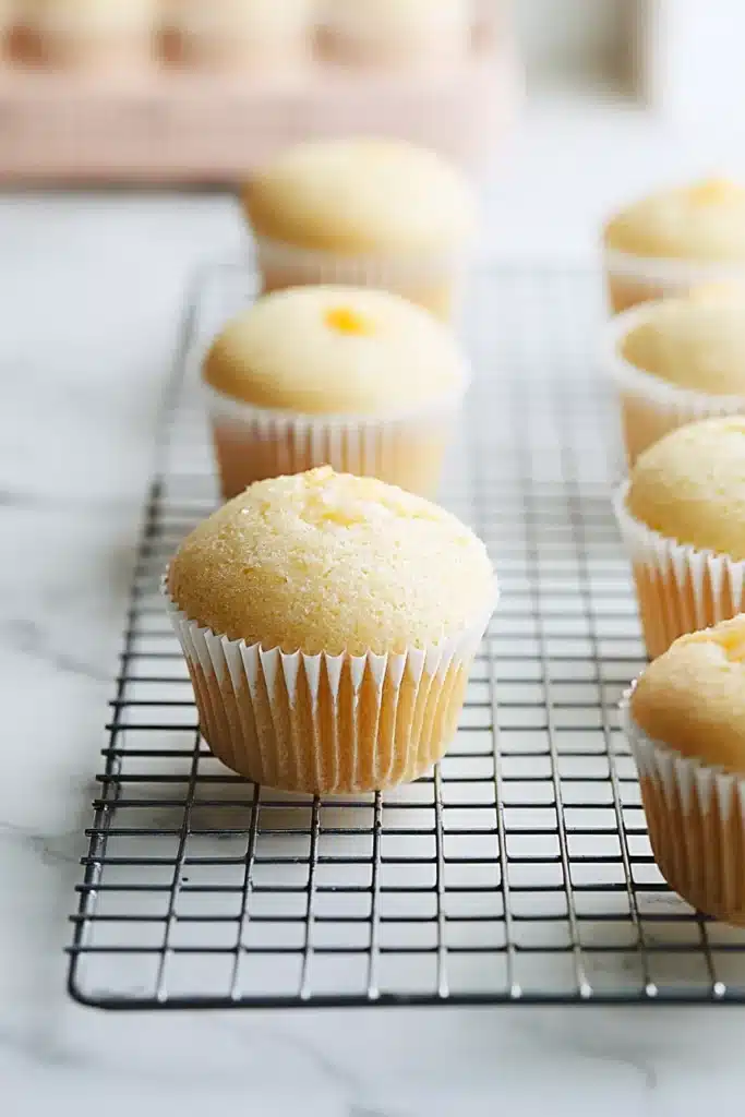 Peach Bellini Cupcakes 5 Freshly baked Peach Bellini Cupcakes cooling on a wire rack